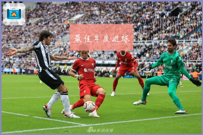 最佳年度进球